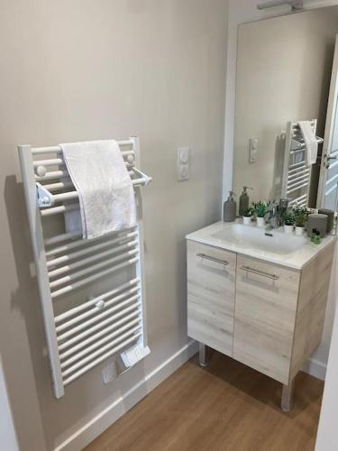 une salle de bain avec un lavabo et un miroir dans l'établissement Duplex type Loft centre ville * clim * WIFI * Haut de gamme *, à Angoulême