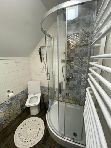 ein kleines Bad mit einer Dusche und einem WC in der Unterkunft Tomashchuk resort in Worochta