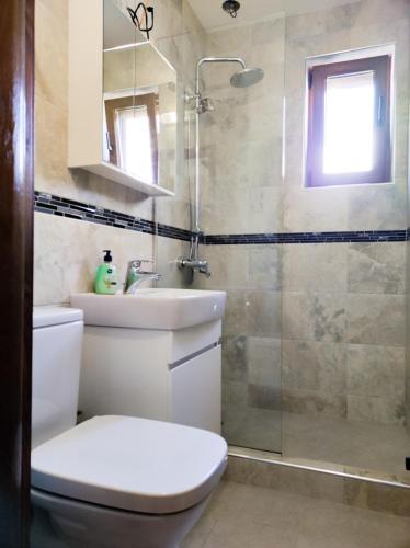 a bathroom with a toilet and a sink and a shower at Терасите - Къща 1 in Ribarica