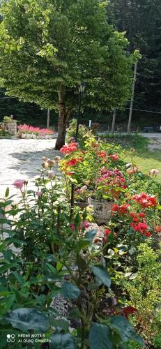 a garden of flowers in a park with a tree at O Elatos in Loutra Amarantou