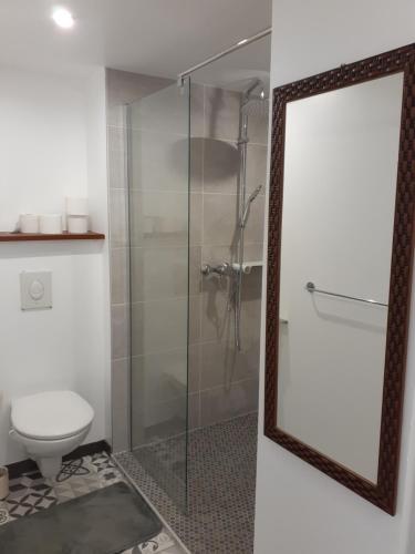 a bathroom with a toilet and a mirror at Gite PASSIFLORE in Cour-Cheverny