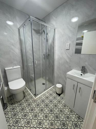a bathroom with a shower and a toilet and a sink at Riverside Premium Double Room E14 in London