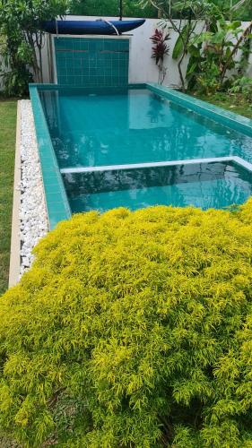 a swimming pool in a garden with green bushes at Emildale Villa in Wadduwa