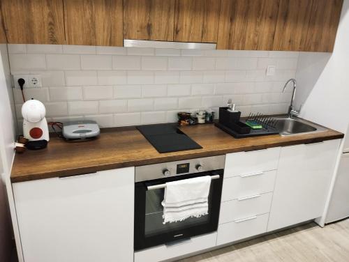 a kitchen with a sink and a counter top at Vasili's and Vasiliki's luxury apartment in Athens