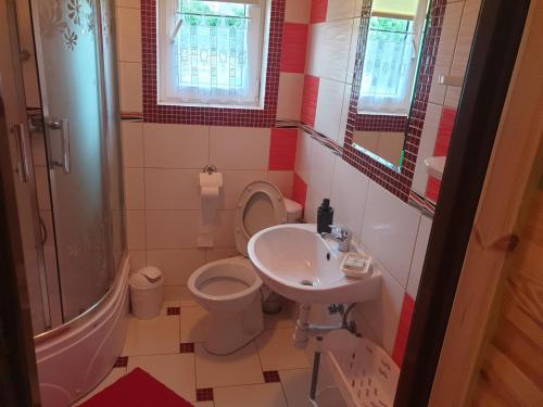 Ένα μπάνιο στο Domek w Bieszczadach u Ani Apartament 3