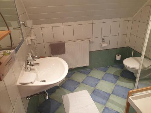 a bathroom with a sink and a toilet at Bergführerhaus in Ramsau am Dachstein