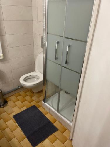 La salle de bains est pourvue d'une douche, de toilettes et d'un tapis. dans l'établissement Studio Cabine Clim Wifi Parking Draps - 1 étoile - self check-in possible, à La Grande Motte