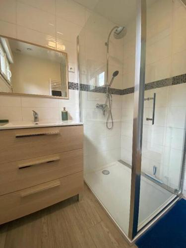 une salle de bain avec une douche, un lavabo et un miroir dans l'établissement Petite maison en Auvergne, à Giat