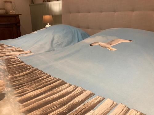 a bird laying on top of a bed at B&B Stations Koffiehuis in Molkwerum