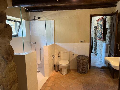 a bathroom with a toilet and a shower and a sink at Can Maimes in Agullana