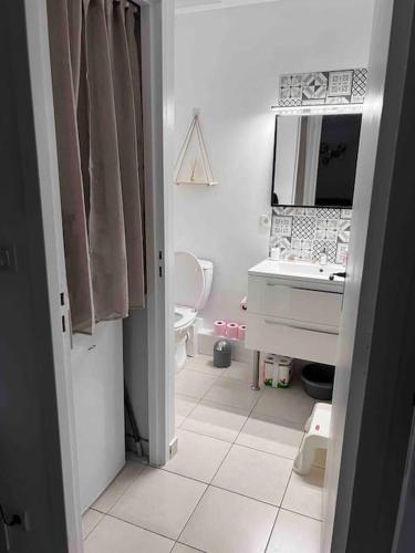 a bathroom with a sink and a toilet and a mirror at Pézenas in Pézenas