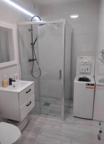 Ένα μπάνιο στο Modern apartment in przemyśl