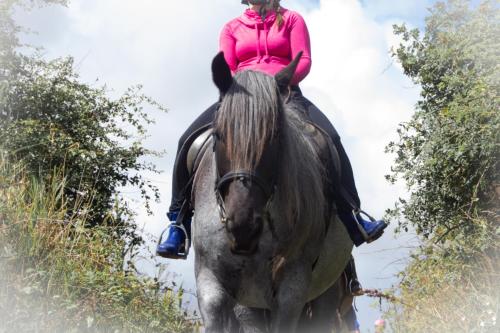 a woman riding on the back of a horse at Meislahnhof Fehmarn in Fehmarn