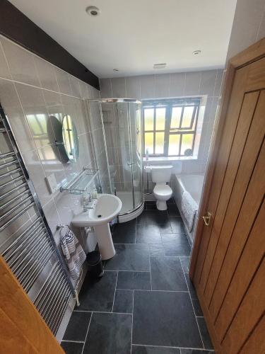 a bathroom with a sink and a toilet and a mirror at Long Linhay Mortehoe Woolacombe in Woolacombe