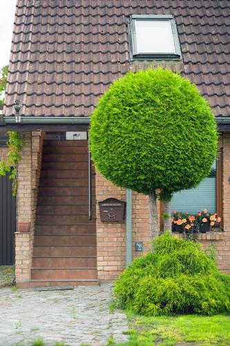 a house with a large bush next to a garage at Schöner Blick 