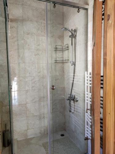 a shower with a glass door in a bathroom at Терасите - Къща 4 in Ribarica