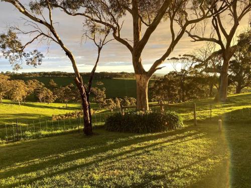 a field of grass with trees and a fence at Kidman's Rest in The Range