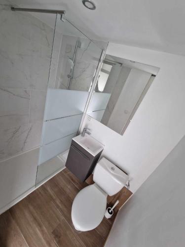 ein Badezimmer mit einem weißen WC und einem Spiegel in der Unterkunft Appartement avec terrasse in La Talaudière