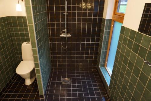 a bathroom with a toilet and a shower with green tiles at Minivilla, fullt utrustad, med fantastiskt läge in Båstad