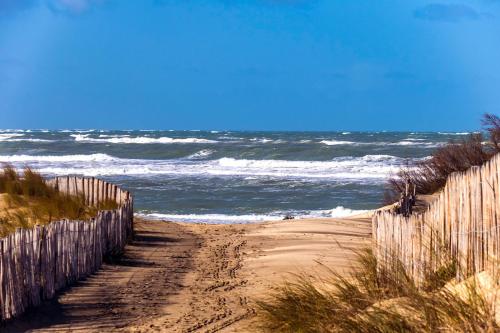 un chemin de terre menant à l'océan avec une clôture dans l'établissement Chambre d’hôtes Saint Just Luzac, à Saint-Just