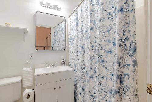 a bathroom with a shower curtain with a sink and a mirror at Historic District Apartment Quiet Street Central Location! in Mobile