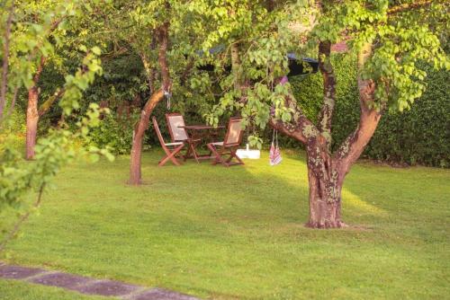 una mesa de picnic bajo un árbol en un patio en 139 Ferienhaus am Wattenmeer, en Sande