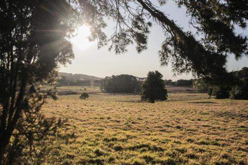 Φυσικό τοπίο κοντά σε αυτή η παραθεριστική κατοικία