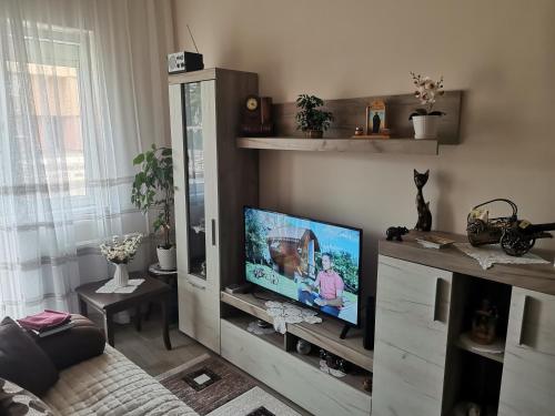 Televízia a/alebo spoločenská miestnosť v ubytovaní Stan na Dan Obrenovac