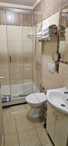 a bathroom with a shower and a toilet and a sink at Hotel Fontana in Novi Sad