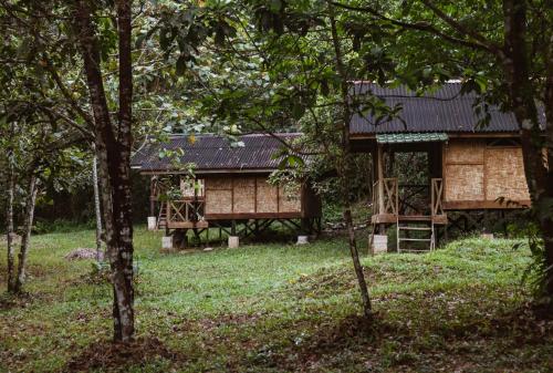a house with a black roof in the middle of trees at Wild Camp in Timbanglawang