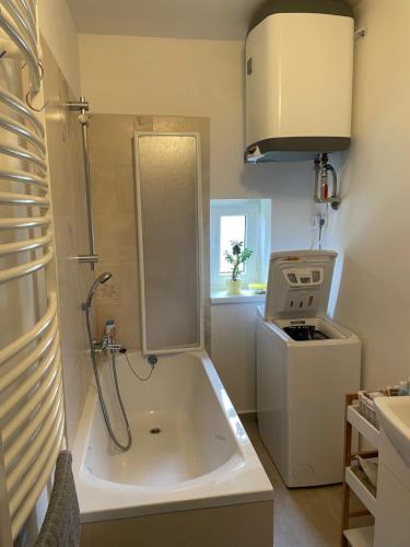 uma pequena casa de banho com um chuveiro e um lavatório. em Rodinný apartmán Mariánská em Varnsdorf