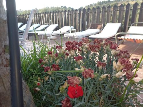 a bunch of flowers in a garden on a patio at Castello in Valguarnera Caropepe