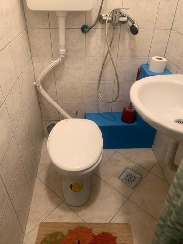 Phòng tắm tại U Villi BB1 - Gornji Zalik bb