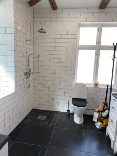 A bathroom at Villa Deluxe at Brohuspark