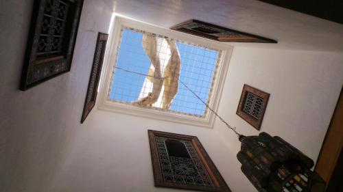 a dog looking out the window of a house at DAR SEFFAH au cœur de la Médina in Fès
