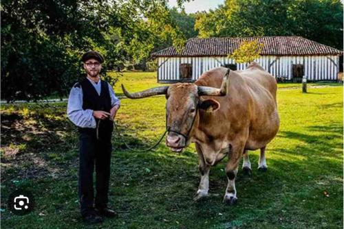 Zvířata v prázdninového domu nebo okolí