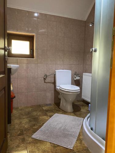 a bathroom with a toilet and a sink at Popas in Breb in Breb