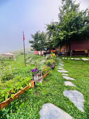 a garden with some flowers and a path at Pirikiti in Akhmety