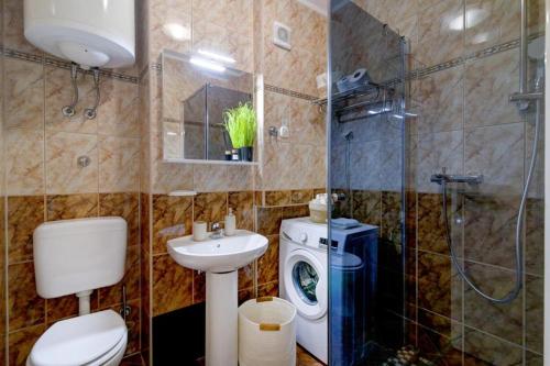 ein Bad mit einem WC, einem Waschbecken und einer Dusche in der Unterkunft Apartment Tera in Senj