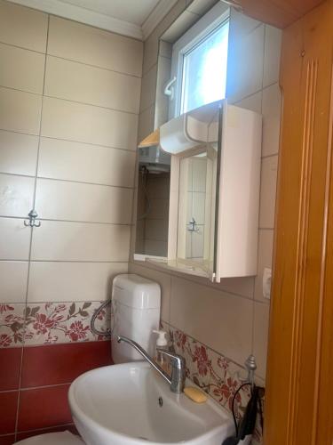 a bathroom with a sink and a mirror at U Villi BB Gornji Zalik bb in Mostar