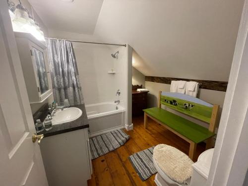North Hero的住宿－Dodds Brick House Bed & Breakfast，浴室配有盥洗盆、卫生间和浴缸。