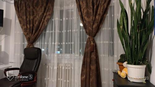 a window with curtains and a chair and a plant at Studio Leo in Iaşi