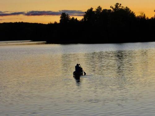 a dog is sitting in the water at sunset at Willow Cabin- North Frontenac Lodge in Ompah