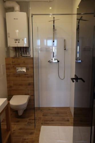 a bathroom with a toilet and a glass shower stall at APARTAMENT PRZY RYNKU in Chełmno