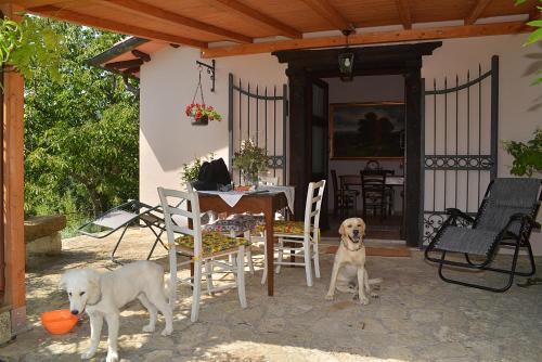 two dogs standing on a patio with a table and chairs at La Casina di Sarteano in Sarteano