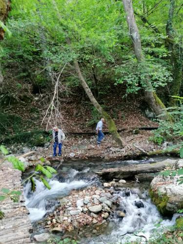 two people standing in a stream of water at O Elatos in Loutra Amarantou