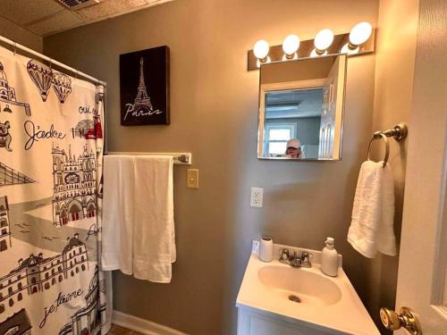 een badkamer met een wastafel en een spiegel bij Zen Haven Close to Downtown Indy- Unit 3 Queen Bed in Indianapolis