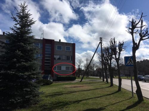 a red circle on the side of a building next to a tree at Spacious Apartment in Kintai in Kintai