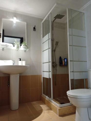 a bathroom with a shower and a toilet and a sink at Demmy's Luxury Apartment in Orestiada