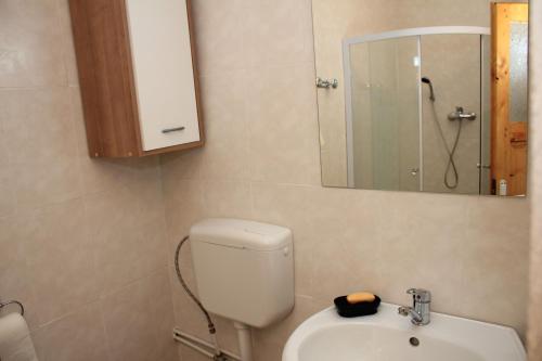 La salle de bains est pourvue de toilettes, d'un lavabo et d'un miroir. dans l'établissement Casa de Vacanta Sarinasuf, à Sarinasuf